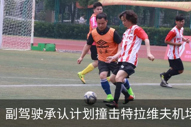 副驾驶承认计划撞击特拉维夫机场航站楼